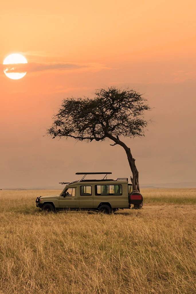 Safari en Afrique